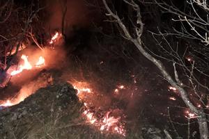 TRAJE BORBA SA VATROM NA GUČEVU: Gori šuma, vatrogasci čitavu noć bili na planini (FOTO)