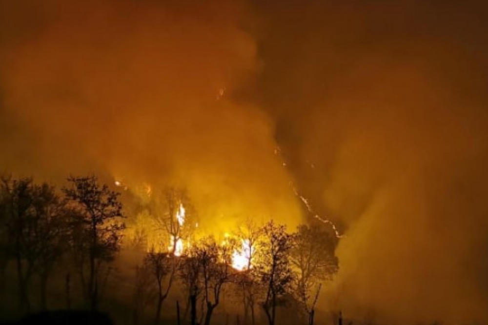GORI ŠUMA KOD STUDENICE: Zbog požara evakuisano 6 porodica, otežano gašenje zbog vetra i nepristupačnog terena