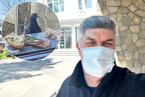 DRŽAVNI SEKRETAR KONAČNO NEGATIVAN NA KORONU! Dragan Jeremić: U bolnici sam crne misli lečio hraneći golubove!