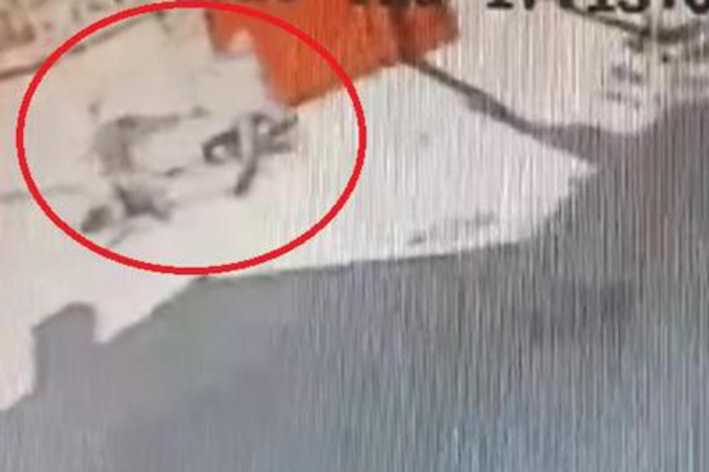 SRAMNA PLJAČKA USRED BELA DANA U VRANJU: Pogledajte kako su 2 momka napala devojku dok se vraćala iz prodavnice VIDEO