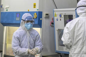 OTKRIVENA NOVA VRSTA GRIPA U KINI: Nosioci virusa su svinje, naučnici tvrde da može da se prenese i na ljude