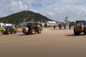 IZBELJIVAČEM ZBRISALI ŽIVI SVET: Hteli da dezinfikuju plažu, pa napravili katastrofu! (VIDEO)