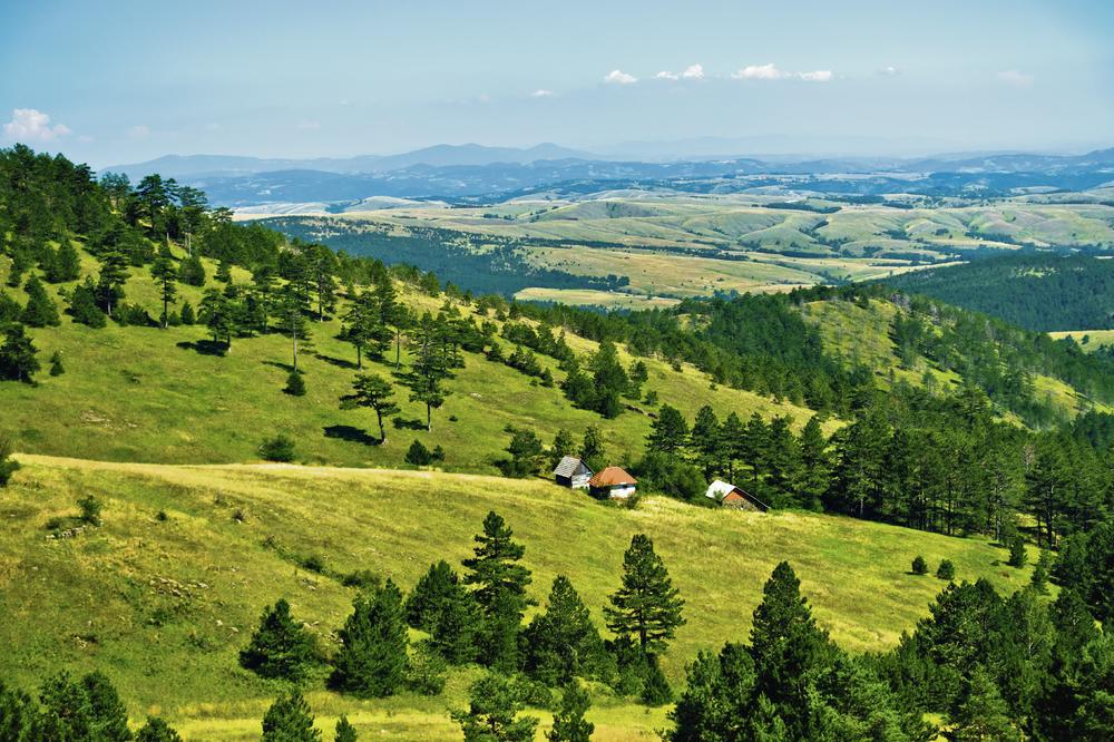 NESREĆA NA DIVČIBARAMA: Novosađanka pala s panoramske ljuljaške pravo na kamenjar, spasli je vatrogasci Vladimir i Milan