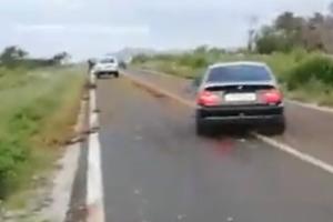 (UZNEMIRUJUĆI VIDEO) HRVAT AUTOM POKOSIO STADO OD 30 OVACA: Na putu ostao pravi horor, a vozač već poznat policiji