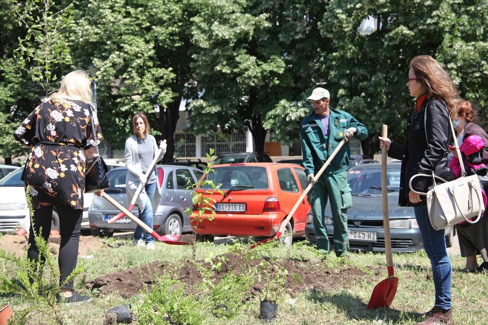 KOMŠIJE ODALE POČAST NASTRADALIMA U STRAVIČNOM POŽARU U TELEVIZORKAMA: Posađeno 7 platana ispred zgrade FOTO