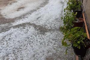 STRAŠNO, BIĆE SIROMAŠTVA: Poljoprivrednici očajni kiša i led zasuli pola Srbije!