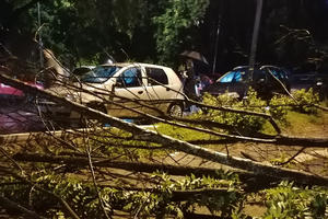 NEVREME U BEOGRADU NAPRAVILO VELIKU ŠTETU: Drveće padalo po automobilima na Medakoviću! Vozila POTPUNO uništena (FOTO)
