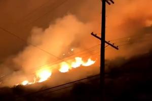 VELIKI POŽAR U LOS ANĐELESU: Izgorelo 50 hektara, 200 vatrogasaca se borilo sa stihijom (VIDEO)