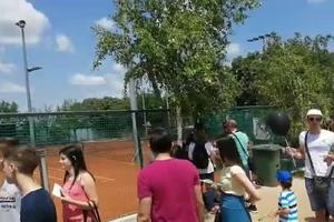SVI BI DA GLEDAJU NOVAKA: Pogledajte red za ulazak na tribine teniskog kompleksa u Beogradu (KURIR TV)
