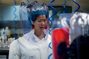 ONA JE PRVA OTKRILA KORONU: Kineska naučnica o poseti tima SZO i o mogućnosti da je virus nastao u laboratoriji! (VIDEO)