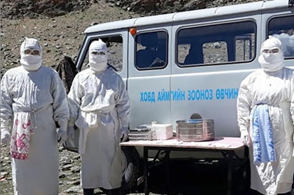 KUGA SE ŠIRI PO MONGOLIJI: Uveden karantin u provinciji Zavkan, otkriveno još zaraženih