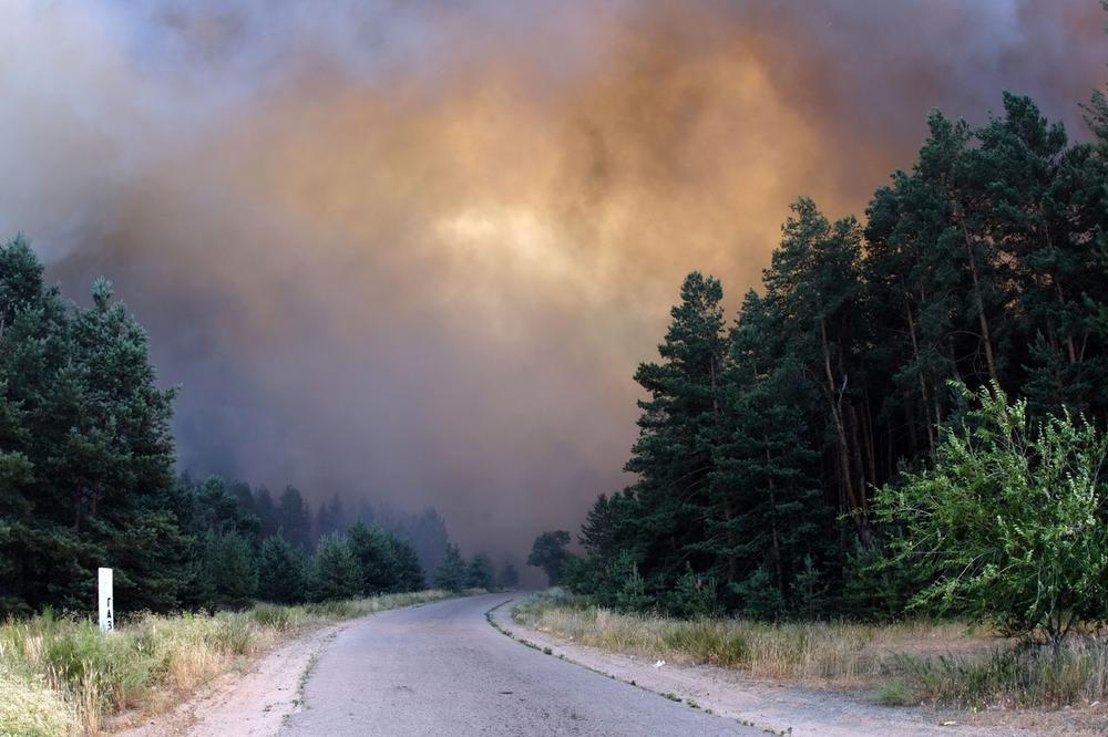 VELIKI ŠUMSKI POŽAR KOD BEROVA U SEVERNOJ MAKEDONIJI: Vatra zahvatila više od 50 hektara, brzo se širi zbog vetra
