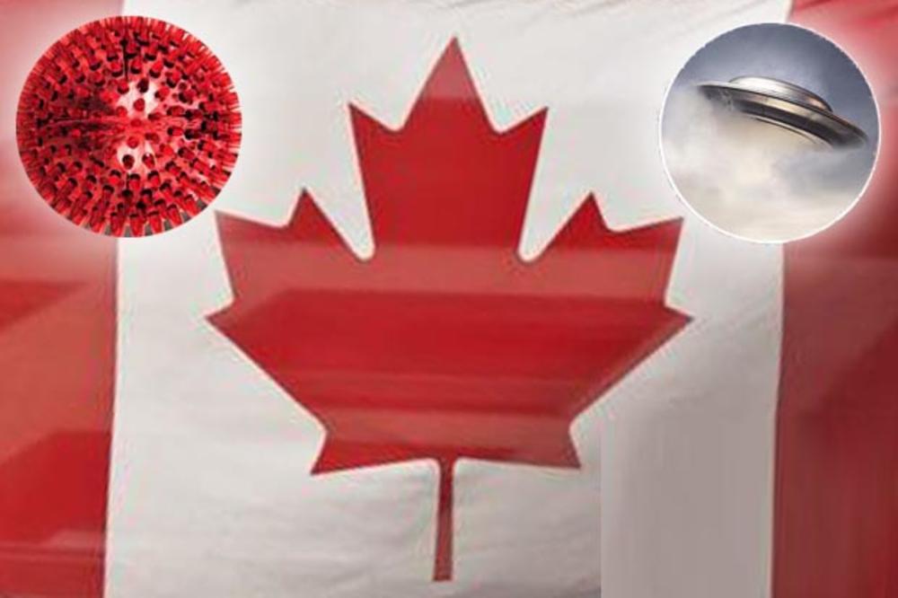 MALI ZELENI VOLE KORONU: Uznemirujuća pojava otkrivena u Kanadi tokom karantina zbog virusa! (VIDEO)