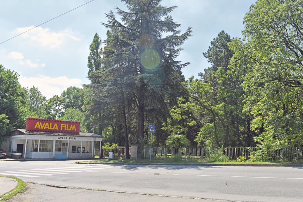 PLUĆA BEOGRADA: Šume na Košutnjaku se nikako ne smeju seći!