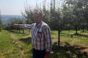OVO JE NAJVEĆI ŠLJIVIK U SRBIJI Gazda Tomislav kaže: Svaka berba kod nas je opsadno stanje, ne znaš od kog stabla početi