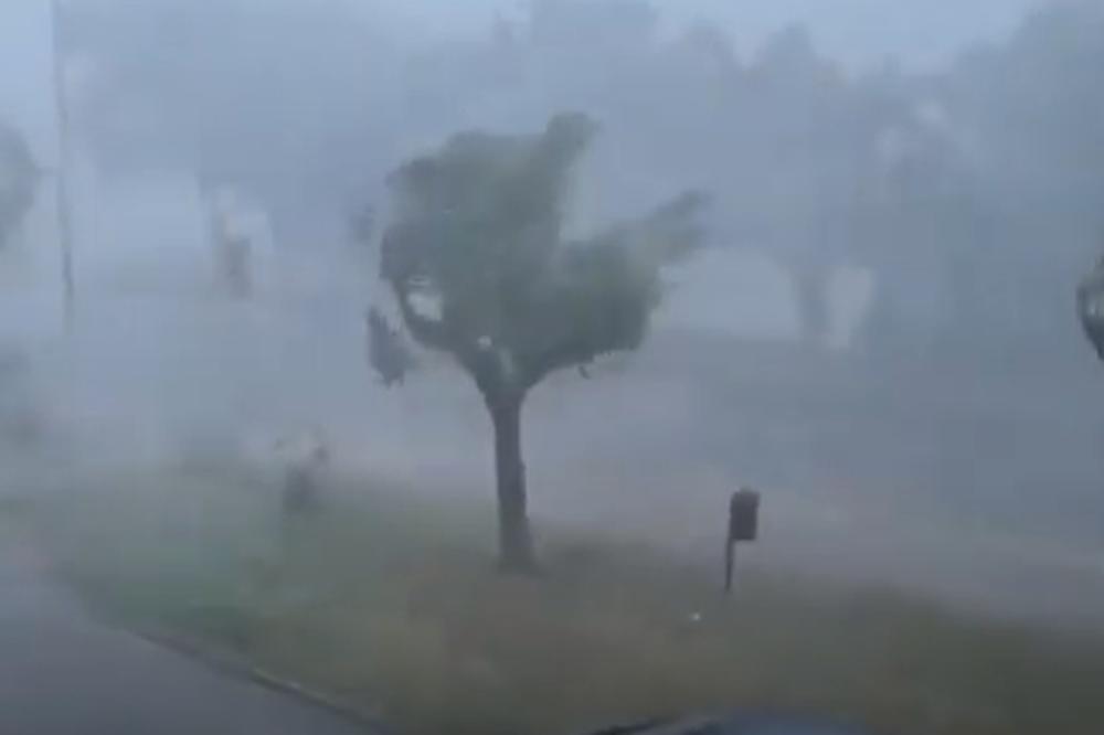 SNAŽNO NEVREME U ISTRI: Pijavice čupale stabla, vetar duvao oko 150 km na sat, odleteo krov sa većnice (VIDEO)