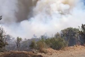 BUKTE DVA NOVA POŽARA NA HVARU: Vatrogasci izašli na teren, kažu da situacija nije dobra (VIDEO)