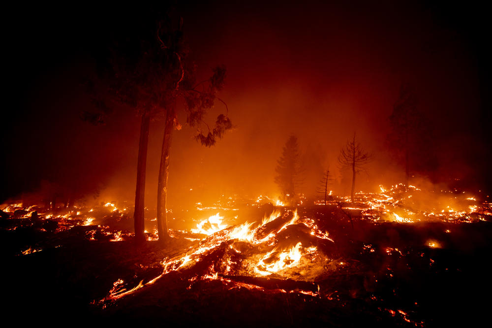 U KALIFORNIJI BESNE 3 VELIKA ŠUMSKA POŽARA: Vatra se širi zbog visokih temperatura, istraga je toku, ljudi se evakuišu