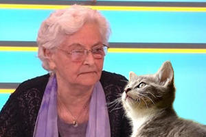 ISPRAVKA - Nema dokaza da su ljudi koji imaju mačke otporniji na koronu, dr Gligić kaže da to treba istražiti