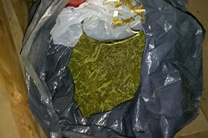HAPŠENJE U PROKUPLJU: U kući osumnjičenog nađeno 300 gr marihuane, 4 stabljike i tablete