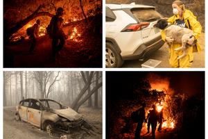 POŽARI U AMERICI ODNELI VEĆ 35 ŽIVOTA: Vatra progutala HILJADE kuća, vazduh zagađen, smrdi na metal! (FOTO)