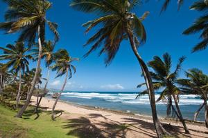 PRVA AMBASADA U METAVERZUMU: Vlada ovog rajskog ostrva prva na planeti proširila diplomatski domet na virtuelni svet
