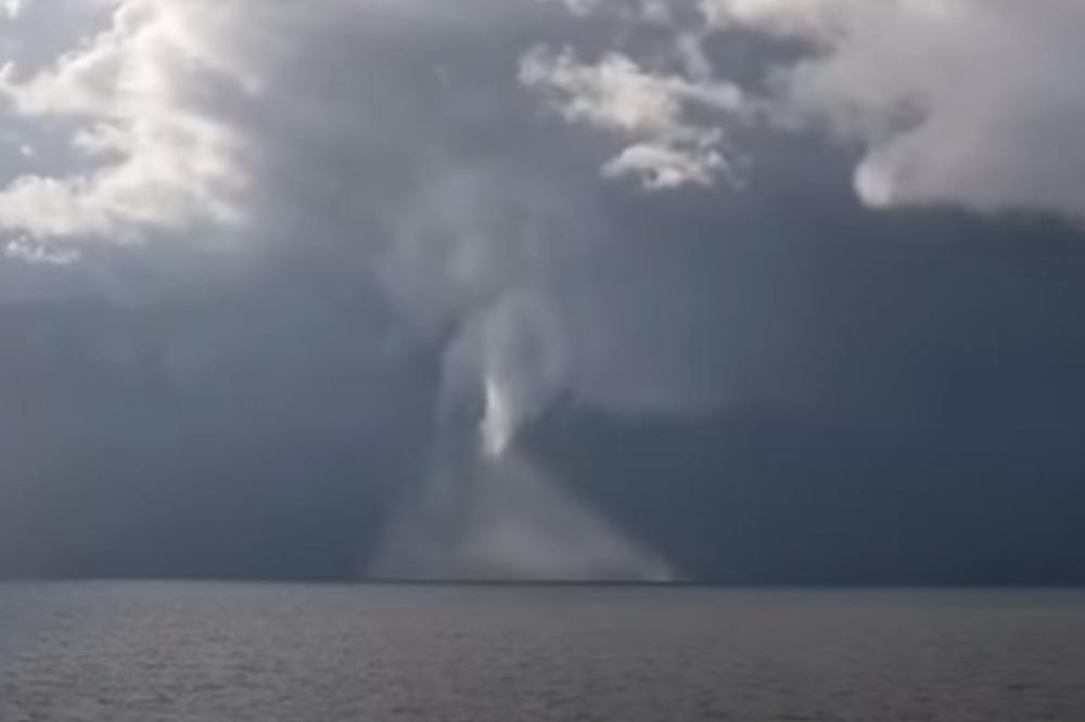 OVAJ PRIZOR NISU ŽELELI DA VIDE NA MORU: Ogromna pijavica iznenadila putnike na trajektu (VIDEO)