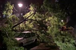 UNIŠTENI AUTOMOBILI: Nevreme u Novom Beogradu rušilo stabla, koja su padala na vozila (KURIR TELEVIZIJA)