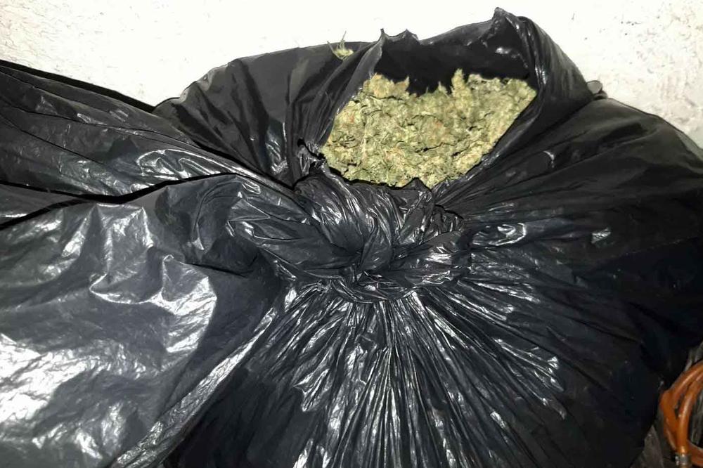 POLICIJA RAZBILA NARKO GRUPU NA JUGU SRBIJE: Zaplenjeno 3,5 kilograma marihuane, uhapšeno 9 osoba!