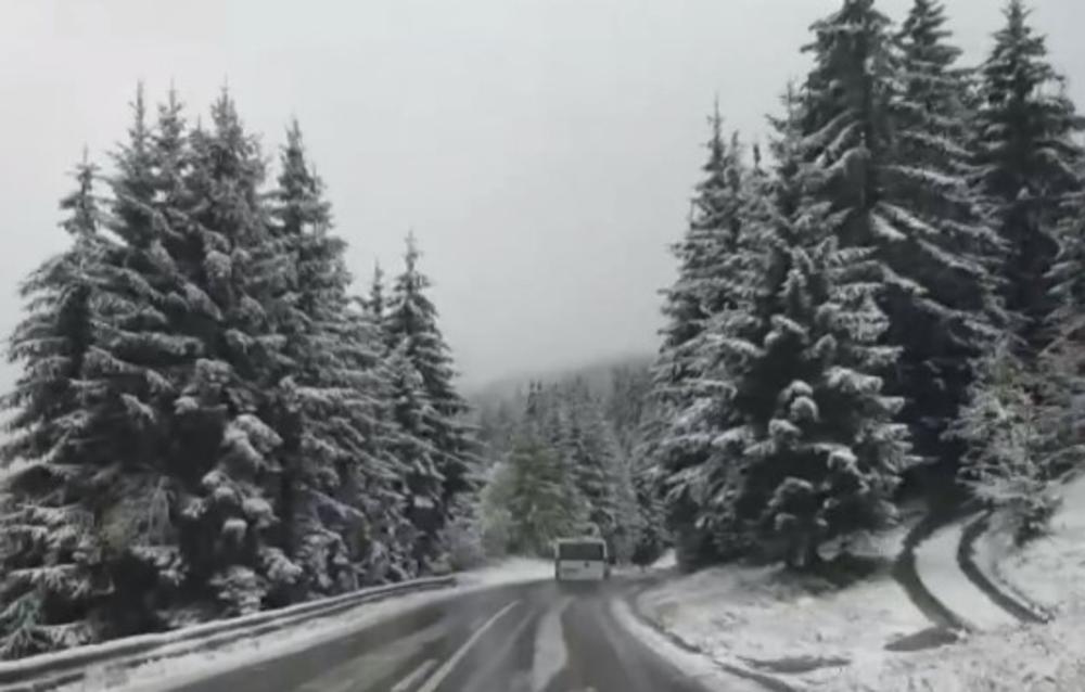 Sneg, Zlatibor