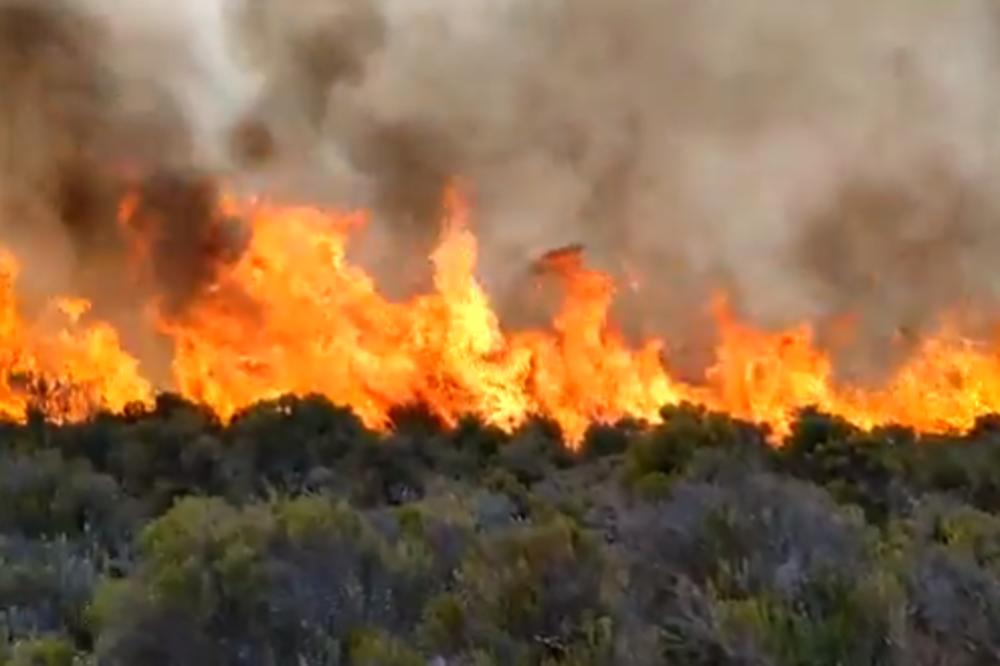 KILIMANDŽARO GORI VEĆ TRI DANA: Vatrogasci se bore sa vatrom na 6.000 metara visine (VIDEO)
