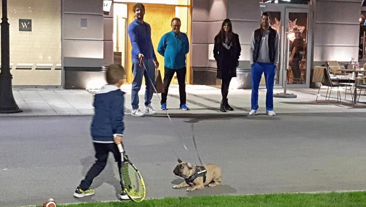 PAPARACO KURIRA UHVATIO NOVAKA: Đoković šeta psa, dok Stefan igra tenis! A onda su im se pridružile Jelena i Tara (FOTO)