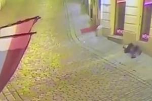SRBI IZ BEČA ŠALJU KURIRU JEZIVE SNIMKE: Terorista hladnokrvno rešeta muškarca  nasred ulice (UZNEMIRUJUĆI VIDEO)