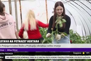 DOK SE NJIHOVI VRŠNJACI SLIKAJU ZA INSTAGRAM, ONI OREZUJU ŠLJIVE! Đaci za primer svima! Ne boje se da rade SVE! (KURIR TELEVIZIJA)