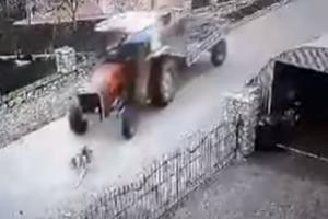 MONSTRUOZNI ČIN KOD GRAČANICE Traktorom pregazio psa, pa ga zatvorio u štalu! Pokušao da spreči ljude da mu pomognu (UZNEMIRUJUĆE)