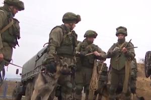 NAJVEĆA OPERACIJA DEMINIRANJA U STEPENAKERTU: Rusi sa svojim psima u akciji, potraga za eksplozivima u Karabahu (VIDEO)