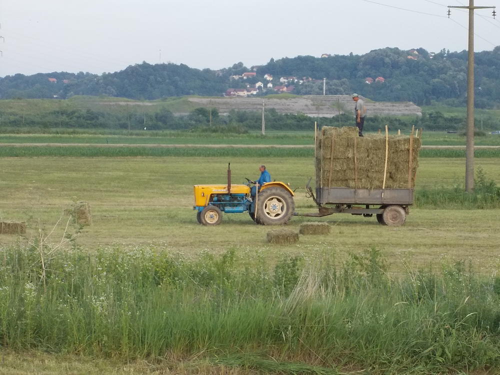 Loznica, poljoprivreda, traktor