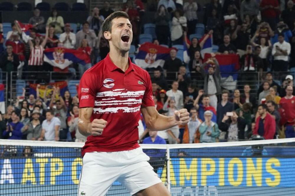 Novak Đoković, ATP kup