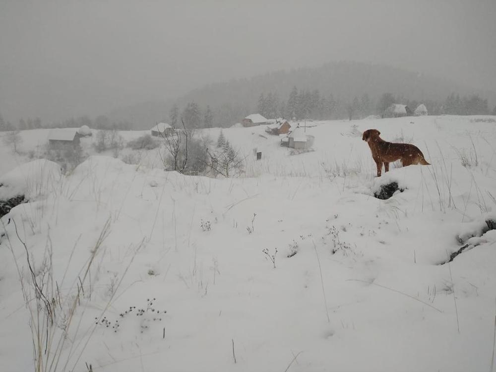 sneg, Prijepolje, Kamena Gora