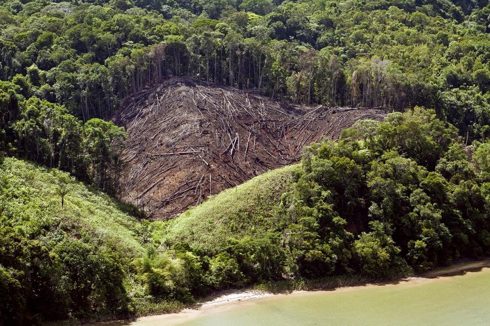 Amazonija, prašuma, Amazon