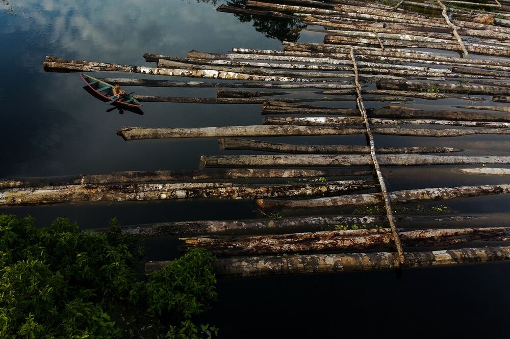 Amazonija, prašuma, Amazon