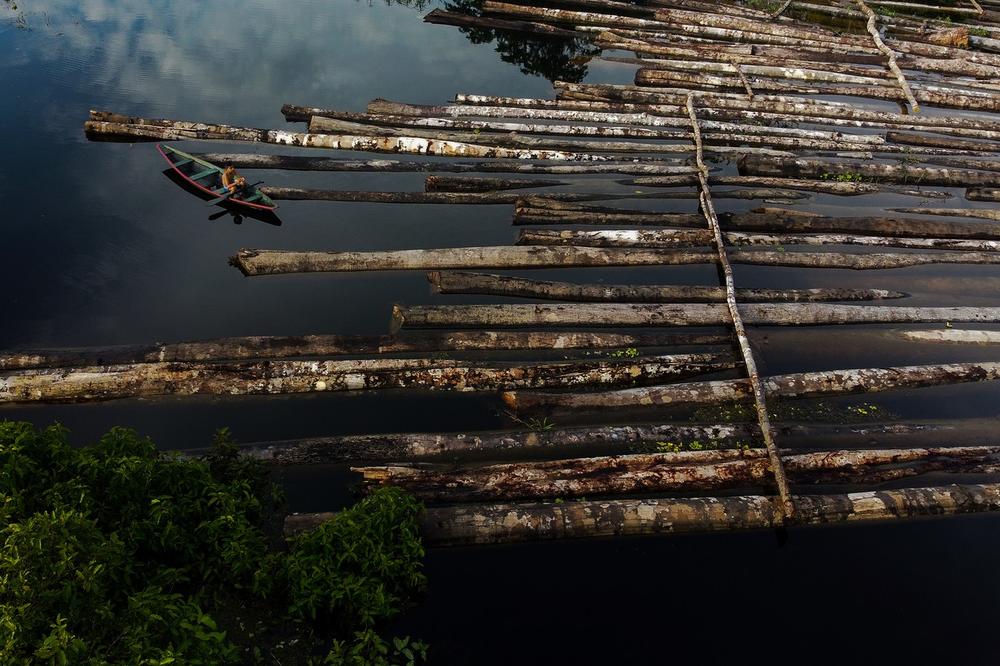 PORAŽAVAJUĆI IZVEŠTAJ O STANJU PLUĆA SVETA: Krčenje šuma u brazilskom Amazonu poraslo zabrinjavajućih 22 posto za godinu dana!