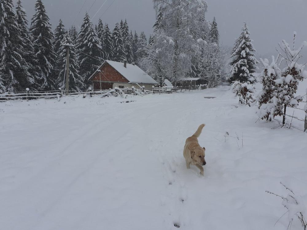 Nova Varoš, sneg