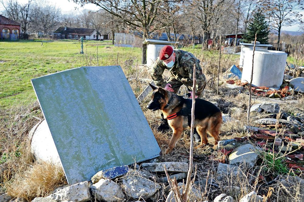 Vojska, Vojska Srbije, pas, Cenatr za obuku pasa