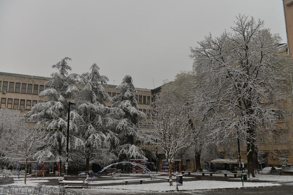 PRAVA ZIMA STIGLA U SRBIJU: Pogledajte slike prvog snega u Beogradu (FOTO)