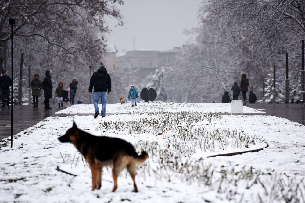 sneg, sneg u Beogradu, zima