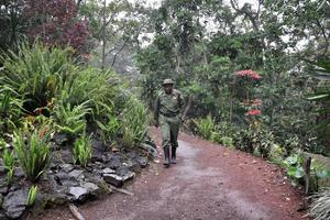 KRVAV NAPAD U KONGU: Naoružani upali i ubili 6 čuvara Nacionalnog parka Virunga! Ima i ranjenih!