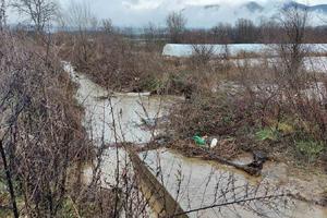 PORAST NIVOA JUŽNE MORAVE: Za 24 sata palo 55 litara kiše po metru kvadratnom, poplavljena dvorišta