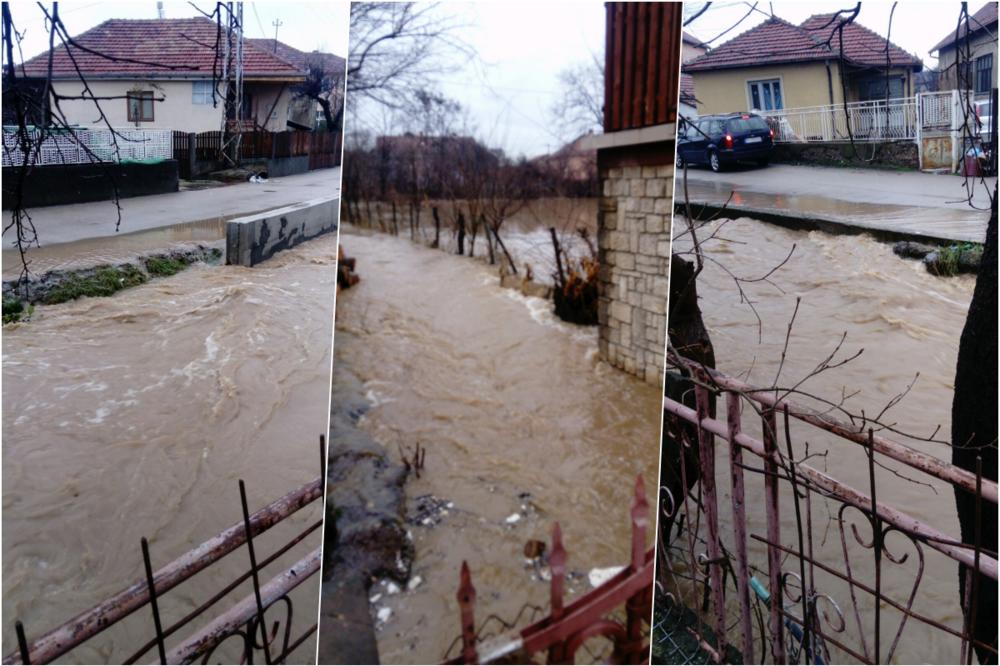 NE DAO BOG NIKOME: Pogledajte dramu nakon izlivanja Visočice kod Pirota MEŠTANI SE BORE ZA SVAKU ŽIVOTINJU (FOTO/VIDEO)