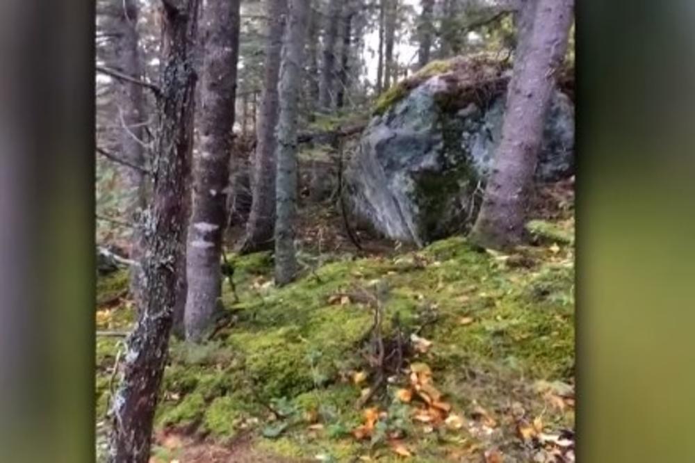 LAŽNI SNIMAK POTRESA U HRVATSKOJ: Čini se kao da zemlja guta šumu, ali evo o čemu se radi! (VIDEO)